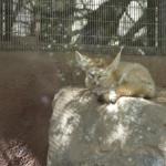 FITS_188 (May 04, 2019)